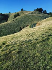 Scenic view of landscape against clear sky