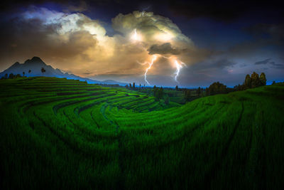 Panoramic view of agricultural field against sky