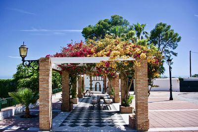 Potted plants on footpath by street against sky