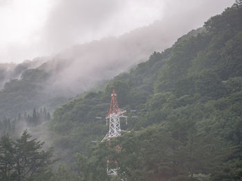 Scenic view of forest against sky