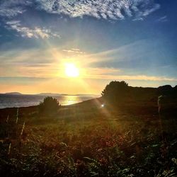 Scenic view of sunset over field