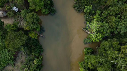 High angle view of river amidst trees