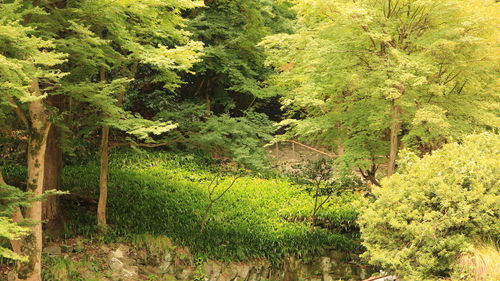 View of rural landscape