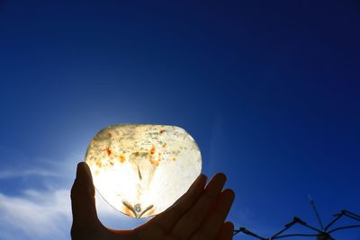 Cropped hand holding sand dollar against blue sky