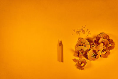 Close-up of orange rose on plant against yellow background