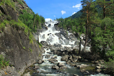 Scenic view of waterfall in forest