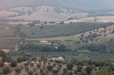 High angle view of landscape