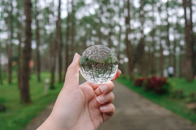 Cropped hand of person holding crystal ball against trees