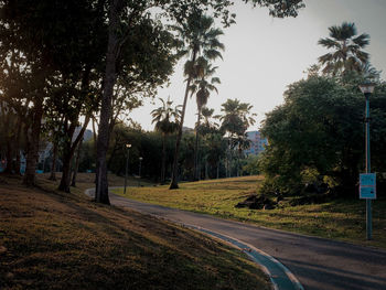 Road by trees in city against clear sky