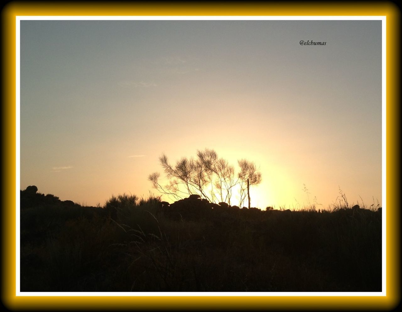 transfer print, auto post production filter, sunset, clear sky, copy space, silhouette, tranquility, tranquil scene, scenics, beauty in nature, landscape, nature, tree, field, sky, idyllic, outdoors, no people, non urban scene, orange color