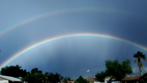 Rainbow over trees against sky