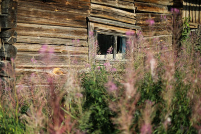 Exterior of old building