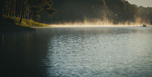 Scenic view of lake in forest