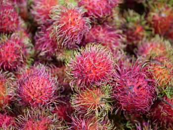 High angle view of fruits for sale in market