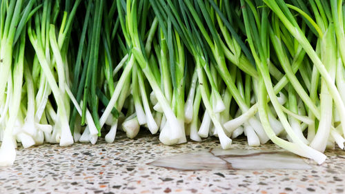 Close-up of vegetables on table