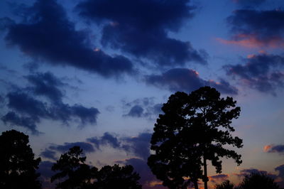 Low angle view of silhouette trees against sky at sunset