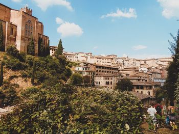 Summer in siena 