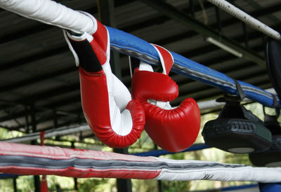 Cropped image of woman exercising on railing