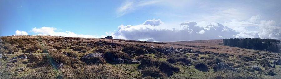 Panoramic view of agricultural field against sky