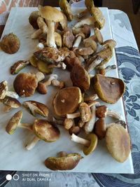 High angle view of mushrooms in plate on table