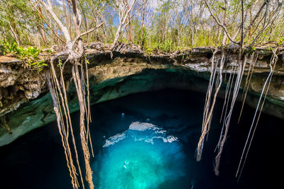 High angle view of cenote kankirixche against trees