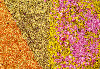 Full frame of flowers