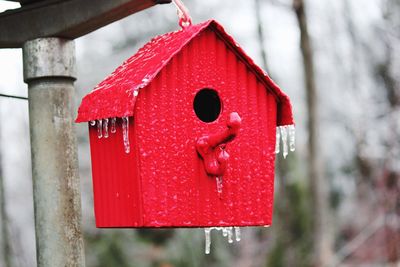 Close-up of red bird house