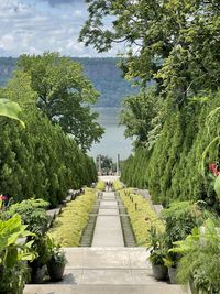 Plants and trees in park
