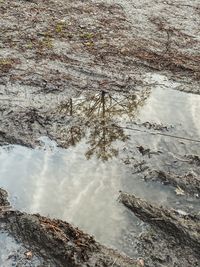 High angle view of water flowing through rocks