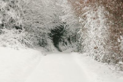 Snow covered land