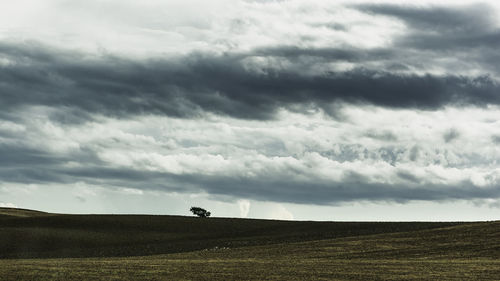 Scenic view of field against sky