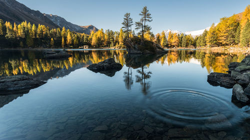 Scenic view of lake in forest against sky