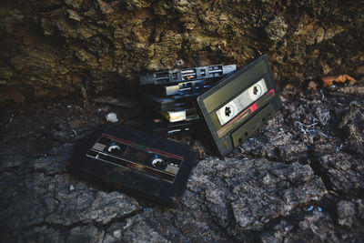 High angle view of cassette tapes on tree trunk