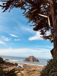 Scenic view of beach against sky