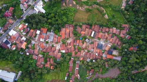 Drone photos from above view village houses. surrounded by lots of trees and close to the main road