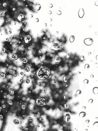 Close-up of waterdrops on water drops