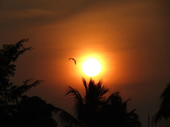 Silhouette of trees against orange sky