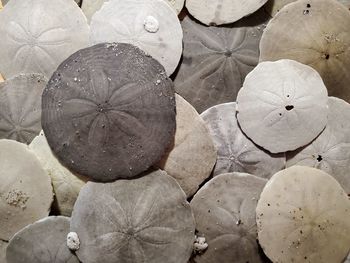 High angle view of dry leaf on table