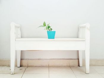 Potted plant on table against wall at home