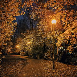 Illuminated street lights in park during autumn