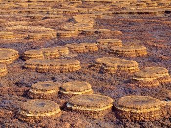 Mars like rock patterns in landscape danakil depression in ethiopia.