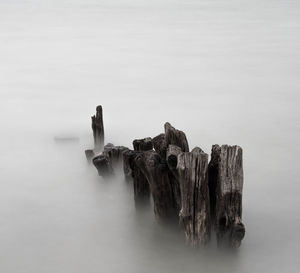 Wooden posts in sea during foggy weather