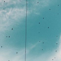 Low angle view of birds flying in sky