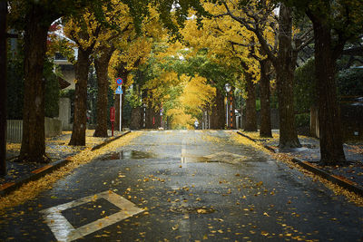 Empty wet road amidst autumn trees