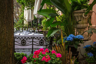 Potted plants on table in yard