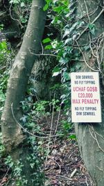 Information sign on tree trunk