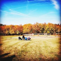 People sitting on field in park during autumn