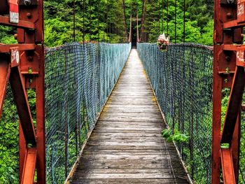 Wooden footbridge in forest