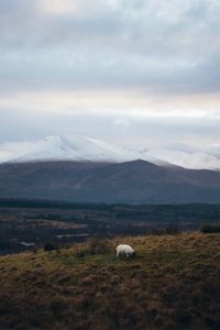 Scenic view of snowcapped mountains against cloudy sky