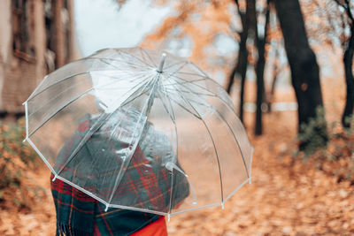 Close-up of umbrella against trees during autumn